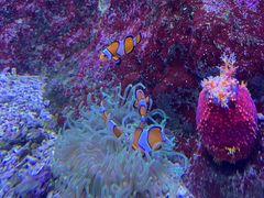 -成都浩海立方海洋公园