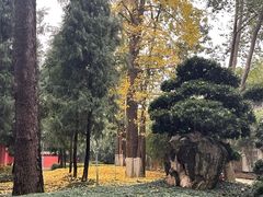 -成都武侯祠博物馆