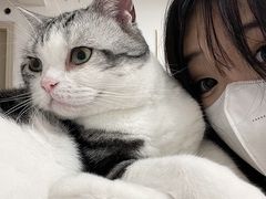 -有喵·猫咖·狗咖·30几只猫10只小狗(岗厦店)