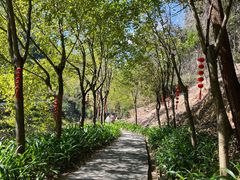 -广州白江湖森林公园