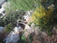 android_upload_pic-孔子研究院