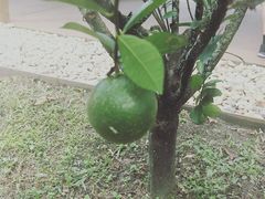 -热带雨林自然公园