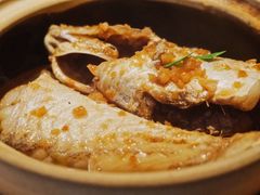 酱油水焖东海虎头鱼-广舟(千禧店)