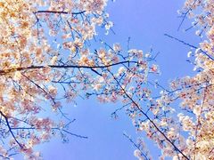 -龙美术馆(西岸馆)