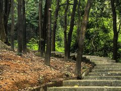 -火炉山森林公园