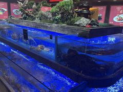 -鸽子侯·家宴·平价海鲜(绿地店)