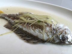 -花城苑广府菜(侨鑫店)