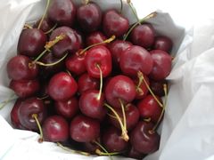 -GANSO元祖食品(锦创书城店)