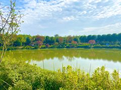 -武汉紫薇都市田园