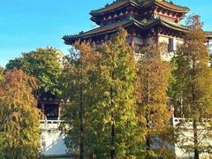 -顺峰山公园
