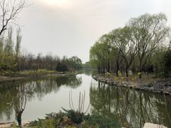 -大兴滨河森林公园