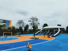 -王借岗森林公园