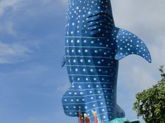 -珠海长隆海洋王国