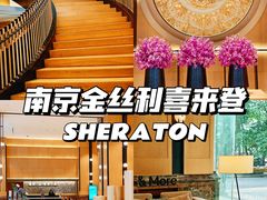 -南京金丝利喜来登酒店