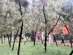 -成都武侯祠博物馆