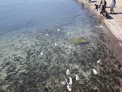 -青海湖二郎剑景区