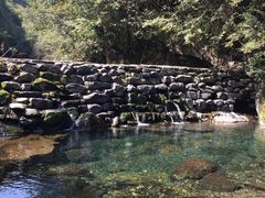 -石台牯牛降景区