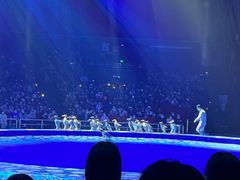 -珠海横琴长隆《卡卡虎奇遇记》