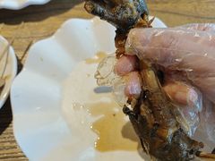 -老号尤兔头(幸福店)