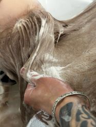 -DL HOPE明星造型