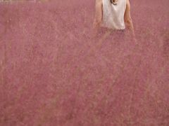 -嘉北郊野公园