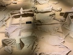 -洛阳周王城天子驾六博物馆