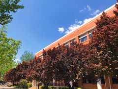 -清华大学-观畴园餐厅