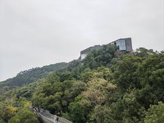 -福道