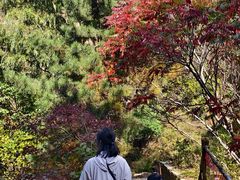 -野三坡百草畔景区