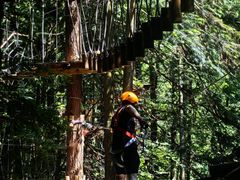 -山王坪喀斯特国家生态公园
