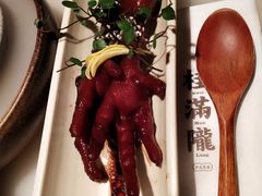 吮指鸡爪-桂满陇天书(南京德基旗舰店)