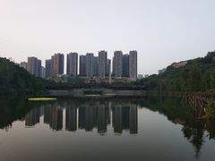 -重庆彩云湖湿地公园