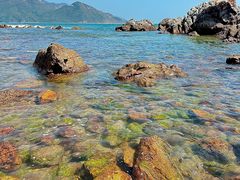 -西涌国际滨海旅游区