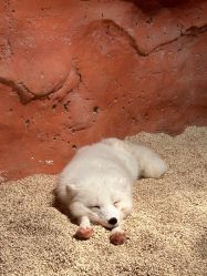 -Zoolung Zoolung动物主题公园(海信广场店)