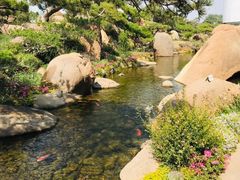 -罗红摄影艺术馆