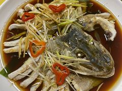 -煲来饱去冷水鱼
