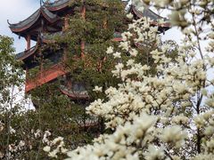 -塔子山公园
