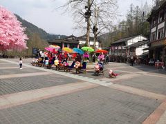 -四川省成都市彭州市白鹿镇