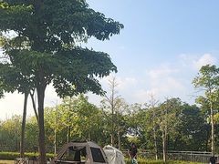 -宝安西湾红树林湿地公园