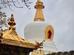 -护国法轮寺