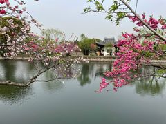 -无锡蠡湖国家湿地公园-蠡园