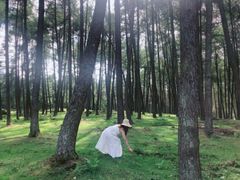 -硗碛藏寨·神木垒景区