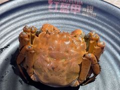 -红盔甲·小龙虾(车公庙店)