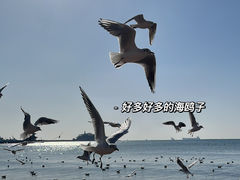 -信号山公园