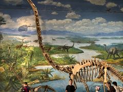 -自贡恐龙博物馆