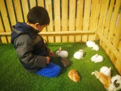 -萌宠亲子动物乐园(槐房万达店)