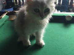 -赢吧Bliss音乐酒吧