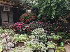 -山菌美食苑(振兴路店)