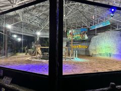 -清迈夜间动物园