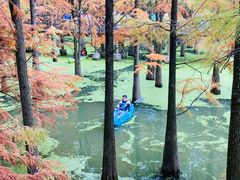 -青山湖景区